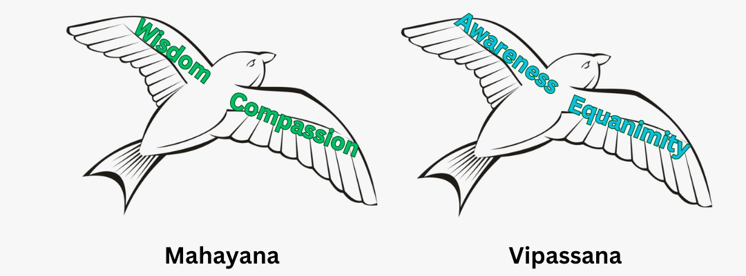 birds_mahayana_vipassana