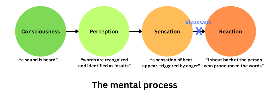 mental_process